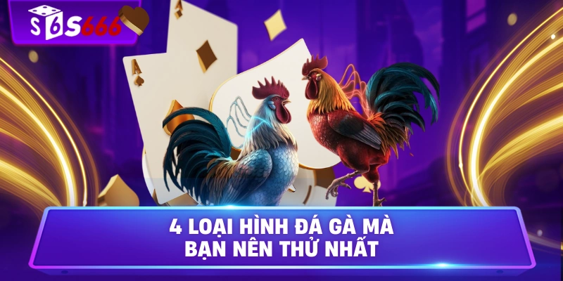 4 loại hình đá gà mà bạn nên thử nhất
