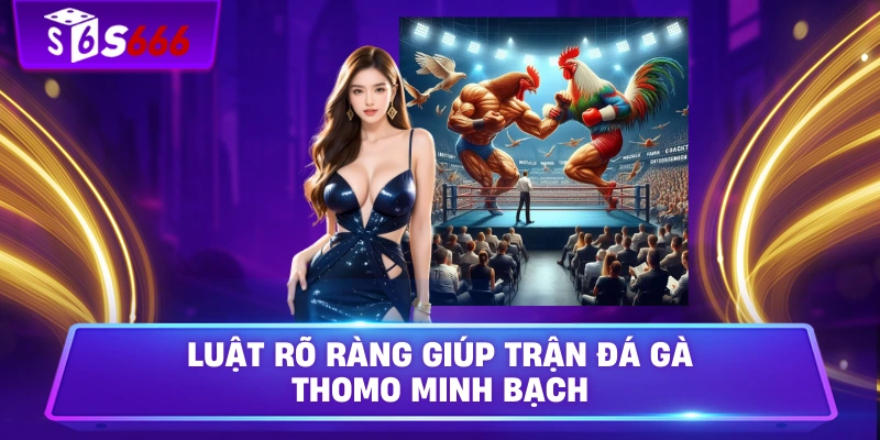 Luật rõ ràng giúp trận đá gà Thomo minh bạch