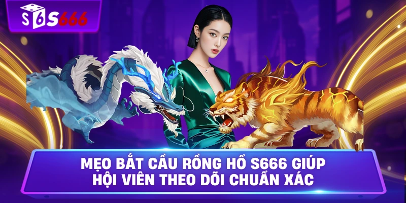 Mẹo Bắt Cầu Rồng Hổ S666 Giúp Hội Viên Theo Dõi Chuẩn Xác