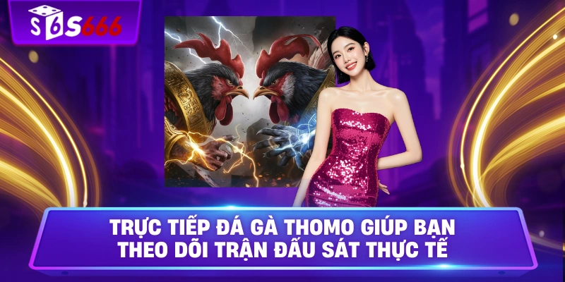 Trực tiếp đá gà Thomo giúp bạn theo dõi trận đấu sát thực tế